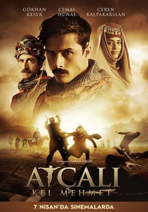 Atçali Kel Mehmet (2017) Hindi Dual Audio 480p HDTVRip 300MB - Movierulz
