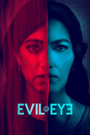 Evil Eye (2020) Hindi Dual Audio 480p HDRip 300MB - Movierulz
