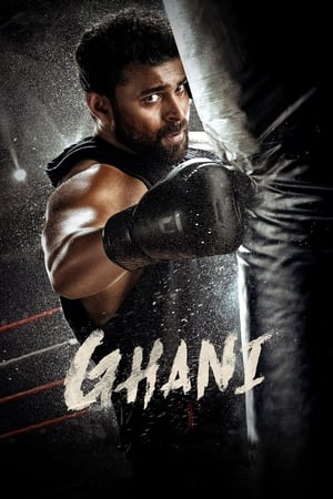 Ghani 2022 Hindi (HQ DUB) HDRip 720p – 480p - Movierulz