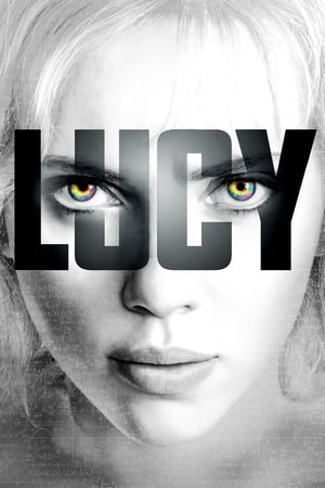 Lucy (2014) Hindi Dual Audio 480p BluRay 300MB - Movierulz