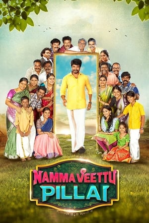 Namma Veettu Pillai (2019) (Hindi – Tamil) Dual Audio 480p UnCut HDRip 450MB - Movierulz