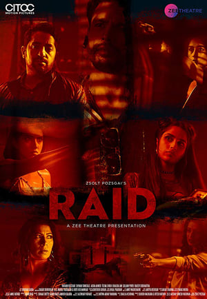 Raid 2019 Hindi Movie 720p HDRip x264 [650MB] - Movierulz