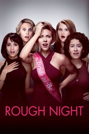 Rough Night (2017) Hindi Dual Audio 720p BluRay [800MB] - Movierulz