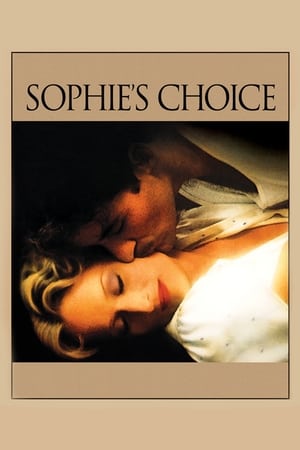 Sophie's Choice (1982) Dual Audio Hindi 480p BluRay 460MB - Movierulz