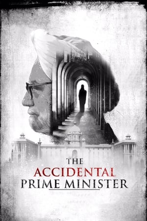 The Accidental Prime Minister (2019) Hindi Movie 720p HDRip x264 [1GB] - Movierulz