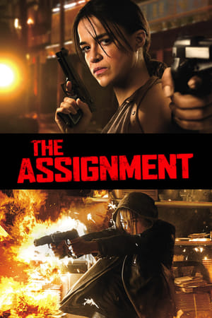 The Assignment (2016) Hindi Dual Audio 480p BluRay 300MB - Movierulz
