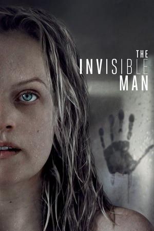The Invisible Man (2020) Hindi (ORG) Dual Audio 720p BluRay [1GB] - Movierulz