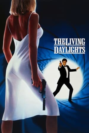 The Living Daylights (1987) Hindi Dual Audio 480p BluRay 400MB - Movierulz